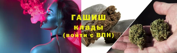 молекула духа Покров