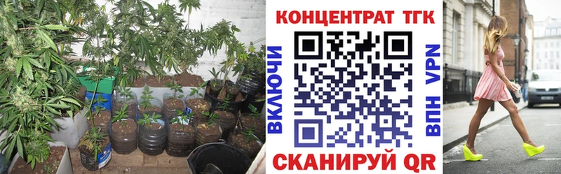 ТГК THC oil  Весьегонск 